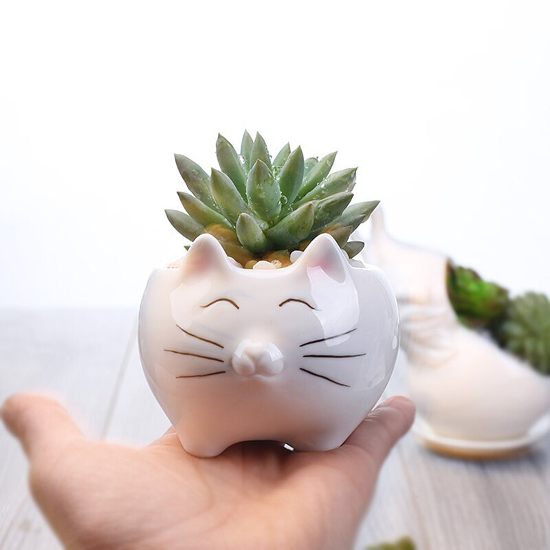 2 stuks/partij cartoon dieren uil keramische bloempot thuis tuinieren mini bloempot cartoon dieren bloempot plantentafel pot vaas: G