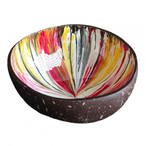 Bols à noix de coco polis, contenant alimentaire peint à la main, bols à bonbons en coquille de noix de coco naturelle lisse, décoration de maison: Multicolor