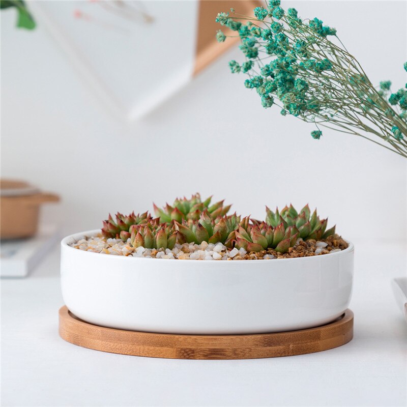 Visual Reference: Minimalist White Ceramic Flowerpots With Bambootra
