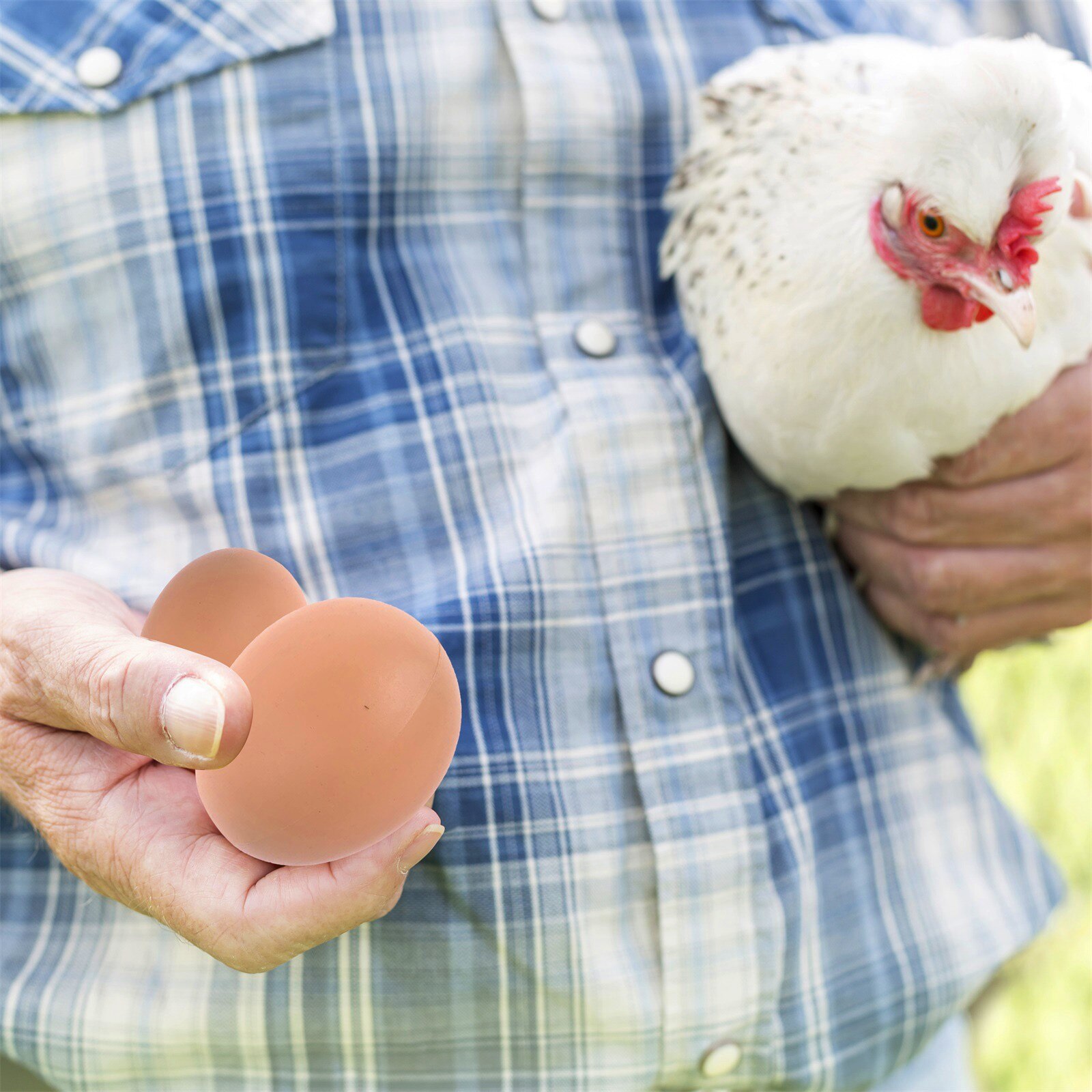 6 Stuks Kip Huis Kleine Nep Eieren Farm Animal Supplies Faux Oeufs Kooien Accessoires Gids Kip Nest Ei Kinderen Speelgoed schilderen