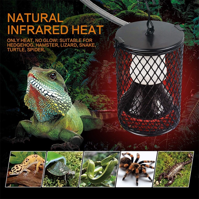 Reptile Heat Lamp With Guard Ceramic Heat Emitter Basking Heater Lamp For Turtles Chicks