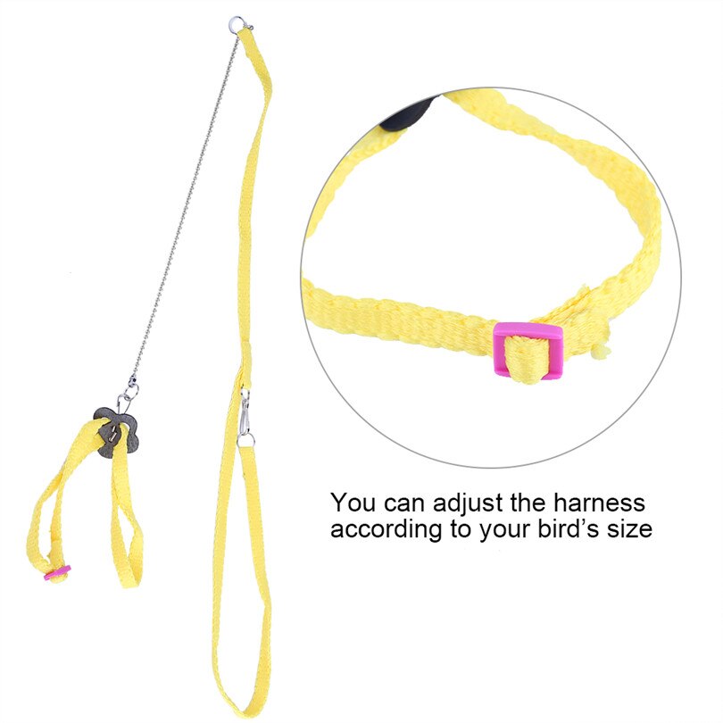 Correa ajustable para pájaros, arnés para exteriores, cuerda de entrenamiento, banda antimordida para entrenamiento de aves y accesorios para palomas
