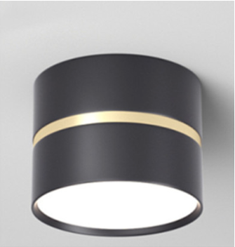 Led Surface-Mounted Downlight Slaapkamer Corridor Home Light 9W/12W Garderobe Eenvoudige Moderne Woonkamer AC85-265V: YELLOW / 5w / Blauw