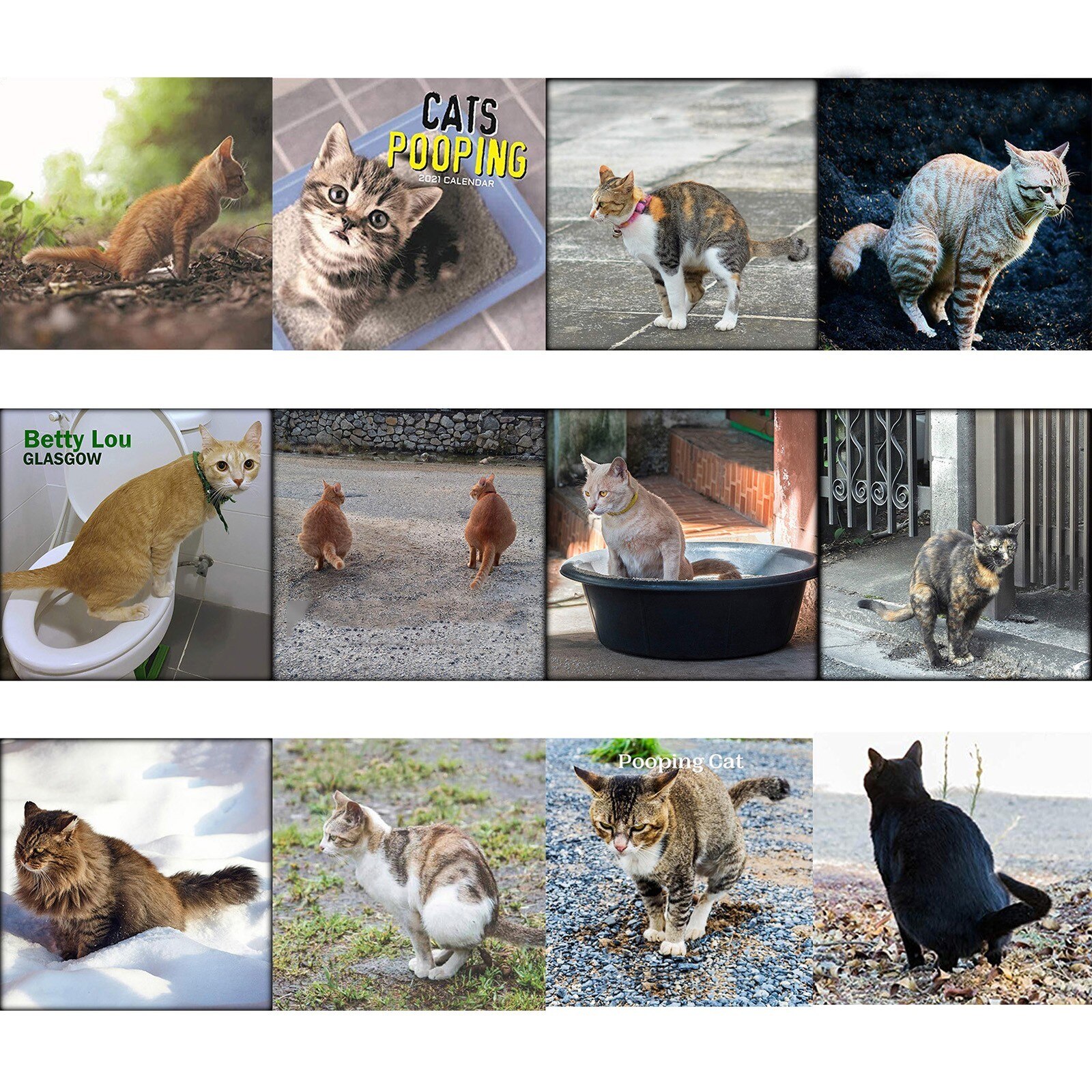 CALENDAR for Cat Lovers, Crazy Cat Lady, Animal Lover