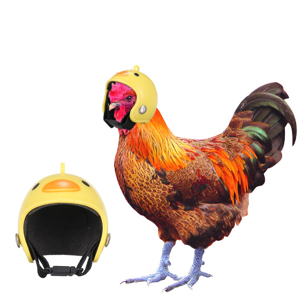 Husdjur rolig skyddande kyckling hjälm liten husdjur hård hatt fågel hatt huvudbonad husdjur kyckling huvud skydd för kyckling anka fjäderfä