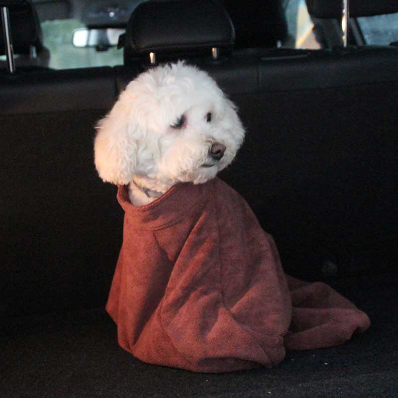 Hundebadekåbe xs - l kæledyrsbadehåndklæde til små mellemstore kæledyrsbadekåbe microfiber superabsorberende tørre kæledyrsbadehåndklæder