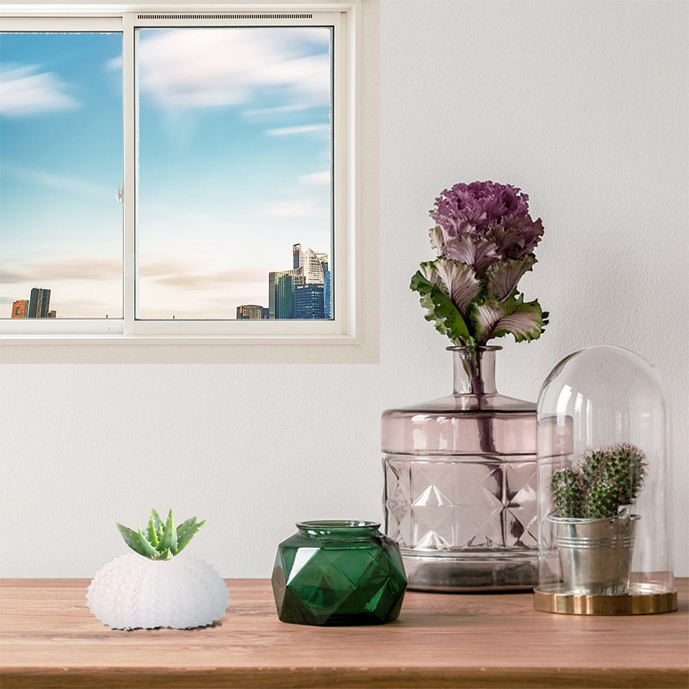 6 Pcs Diy Sea Snail Shells Air Plant Holders Shell... – Grandado