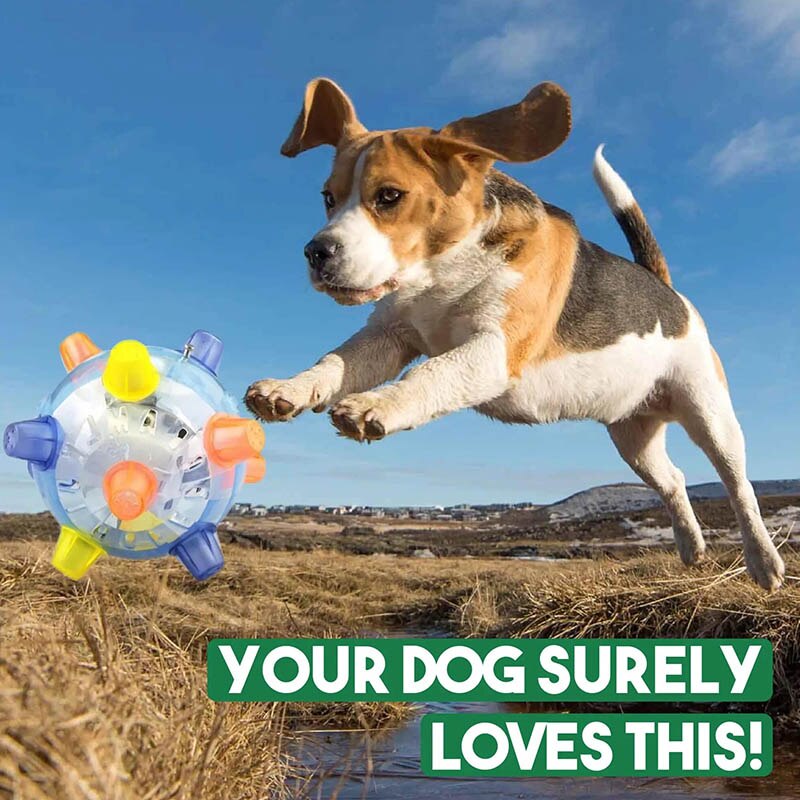 Jumping Activation Ball for Dogs Flashing Ball Light Sounds Jump Automatically DIN889