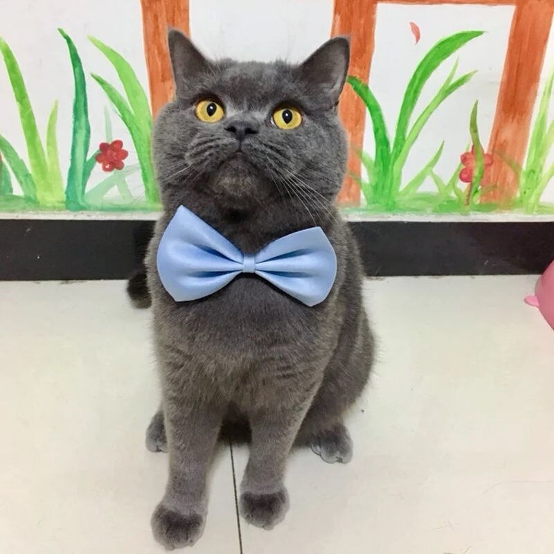 Pajarita ajustable para perro y gato, Collar para el cuello, accesorios para mascotas, pajarita Formal para cachorro, suministros para mascotas