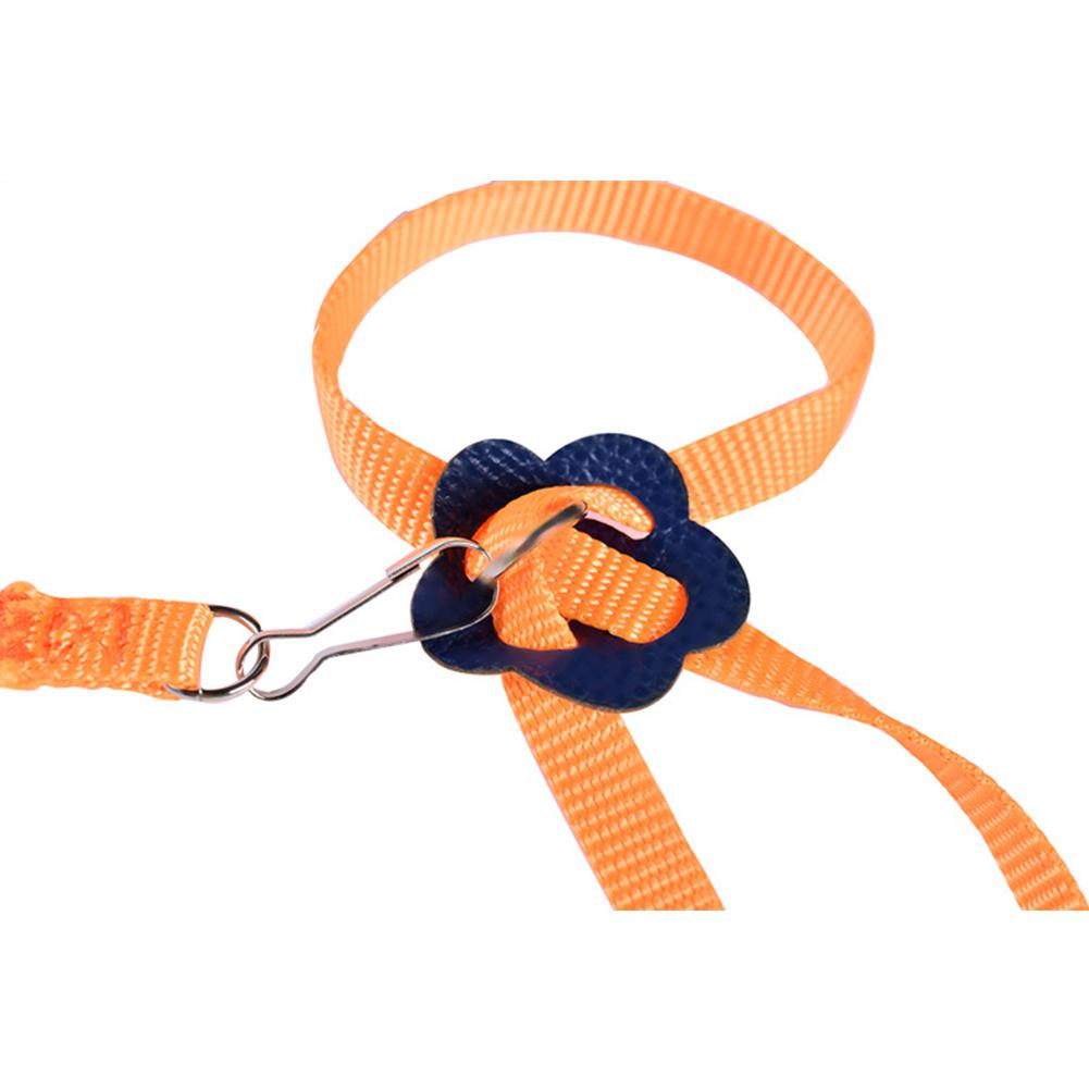 8 kształt latający lina treningowa smycz dla papuga ptak chomika żółw jaszczurka: pomarańczowy