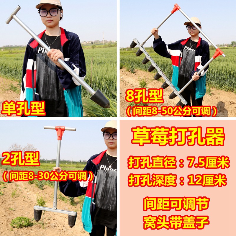 Planten Aardbei Artefact Ponsen Planten Ridge Verhogen Machine Landbouwwerktuigen Planten Groente Pit Puncher