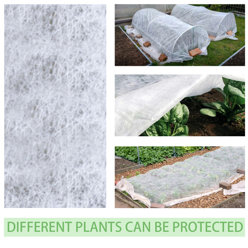 Manta protectora anticongelante para plantas de invierno, cubierta de película protectora de 1,5x10m, manta de tela para proteger árboles frutales en maceta