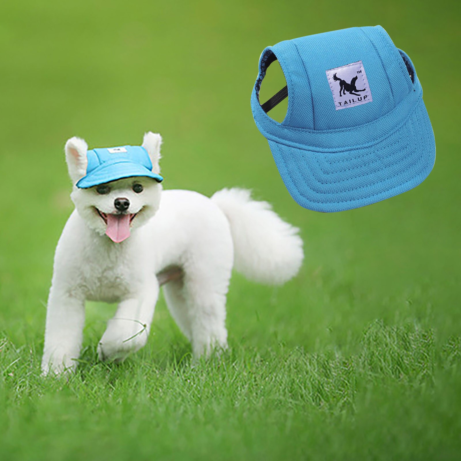 Large Size TAILUP Dog Hat With Ear Holes Summer Canvas Baseball Cap For Small Pet Dog Accessories Hiking Pet Products: SB