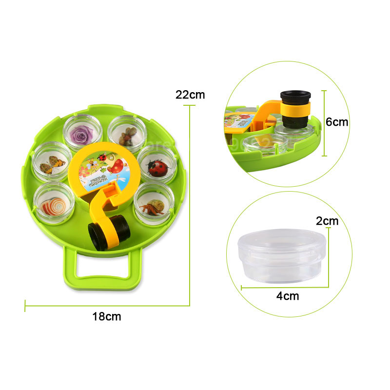 Insect observation science microscopy experimental tools ornamental rocks flowers leaves insects shells crystals minerals