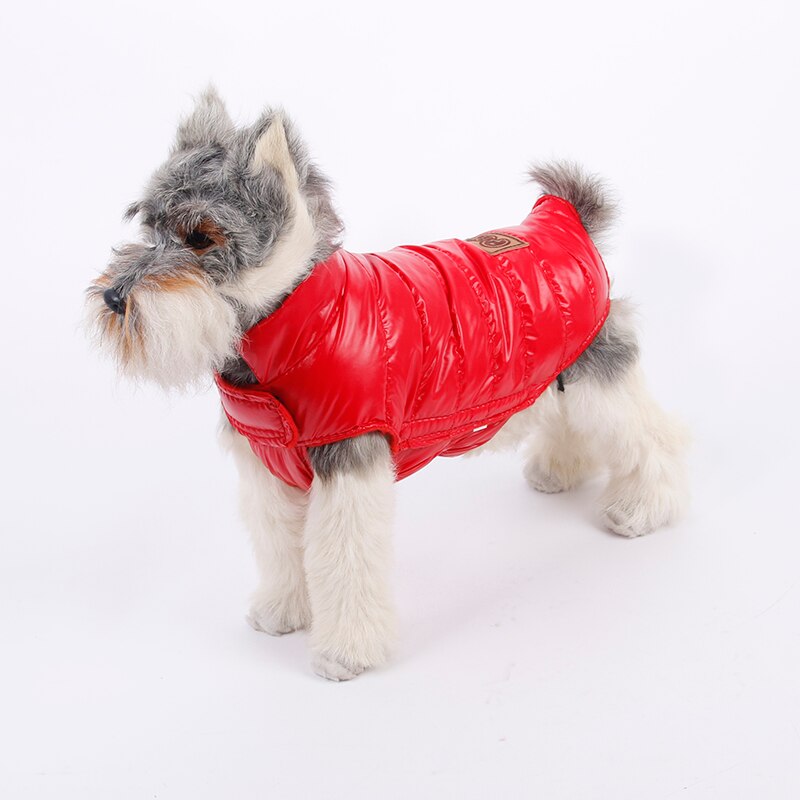 Abbigliamento per cani da compagnia piumino invernale giacca calda cappotto impermeabile abbigliamento per cuccioli per cani di piccola taglia media chihuahua carlino Schnauzer Abrigo Perro