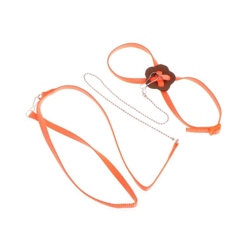 Laisse de harnais d'oiseau de perroquet pour animaux de compagnie corde d'entraînement réglable extérieure sangle de Traction Anti-vol bande souple Portable directe: Orange