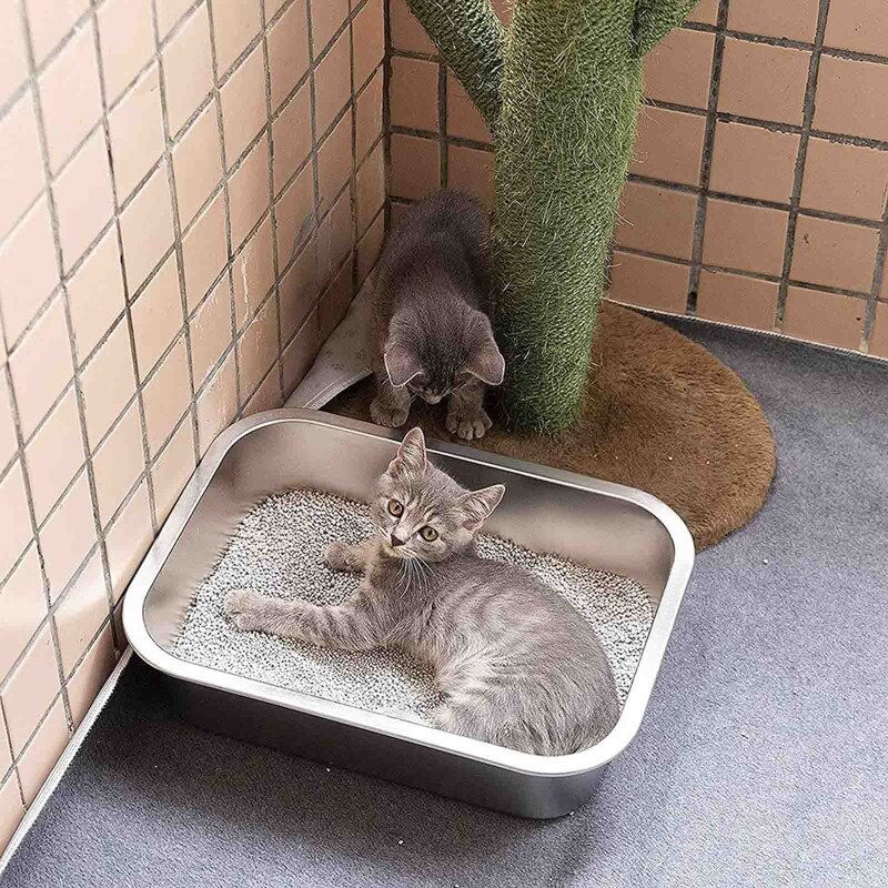 Bac à Litière Chat En Acier Inoxydable 60x40x15 Cm - Avec Tamis Intégré - Facile à Nettoyer