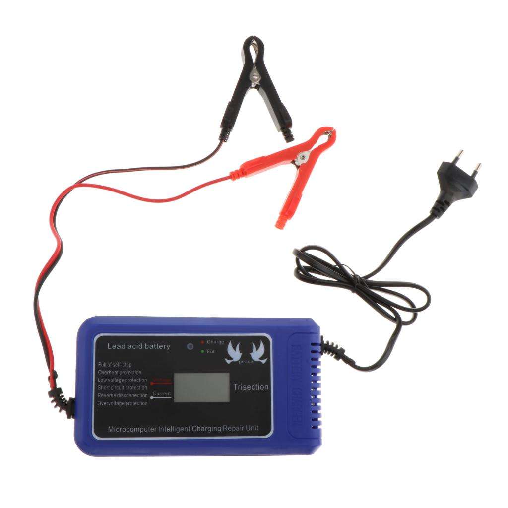 Chargeur de batterie intelligent pour moto, 12V, 10a