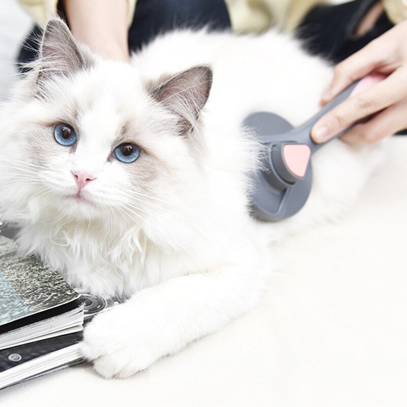 Brosse de Massage d'angle mural pour chat, auto-toilettage avec cataire herbe-aux-chats doux, brosse pour le visage avec un peigne chatouillant, fournitures de toilettage pour animaux de compagnie