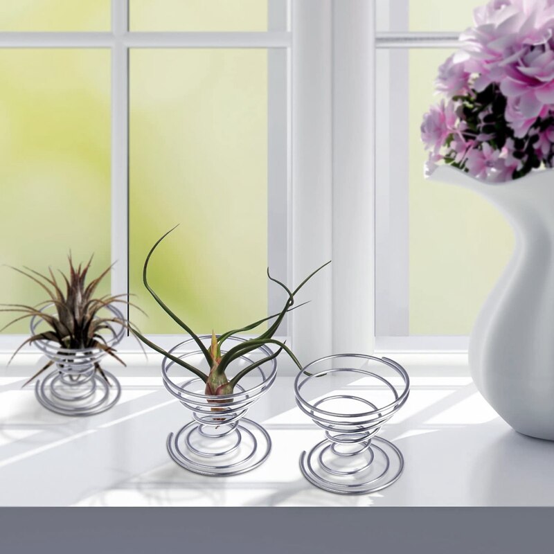 6 Pieces Air Plant Stand Airplant Container Tillandsia Holder Stainless Steel Plant Display