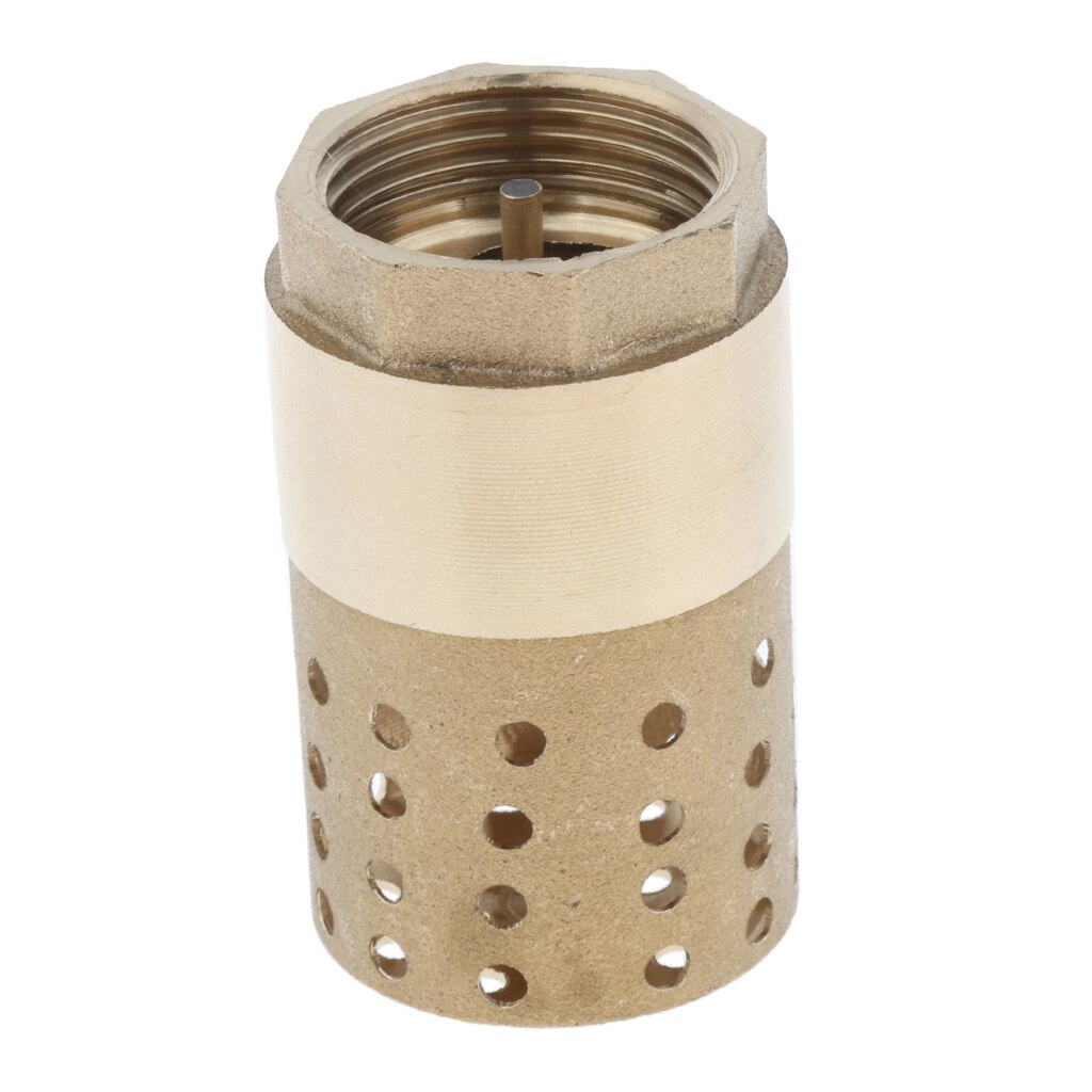 Brass In-Line Check Valve with Strainer 1 inch, Easy to Install