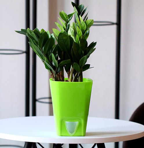 Automatic Flower Plants Pot PP Self Watering Planters Indoor Nursery Pot: B1 / XL 150x190mm