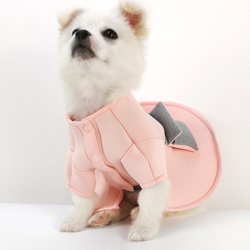 Zomer Kleine Hond Trouwjurk Rok Huisdier Kleding Prinses Jurk voor Chihuahua Yorkie Lente Kat Kleding voor Meisjes