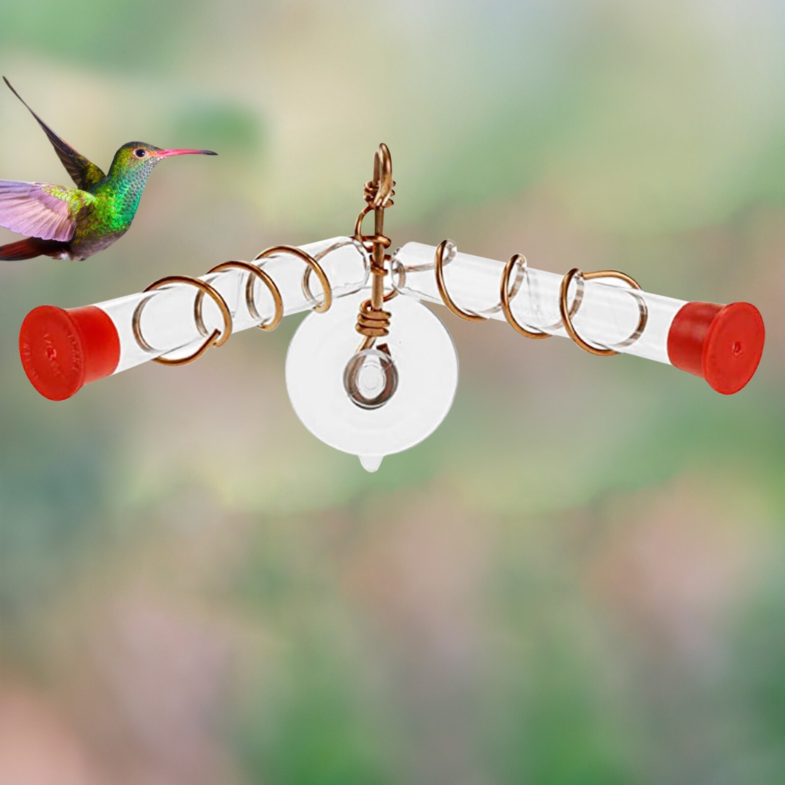 Innovative Suction-cup Hummingbird Feeder Parrot Lovebird Pigeon Hanging Viewing Feeding Tool Container Pet Supplies Accessories