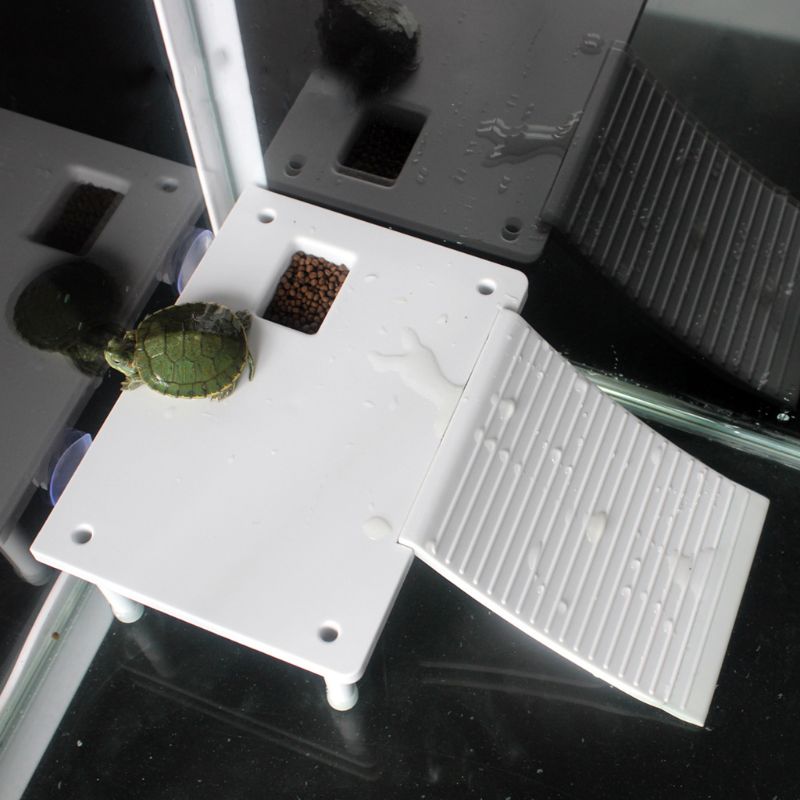 Plastic Turtle Basking Platform Reptile Ramp Ladder Resting Terrace Suction