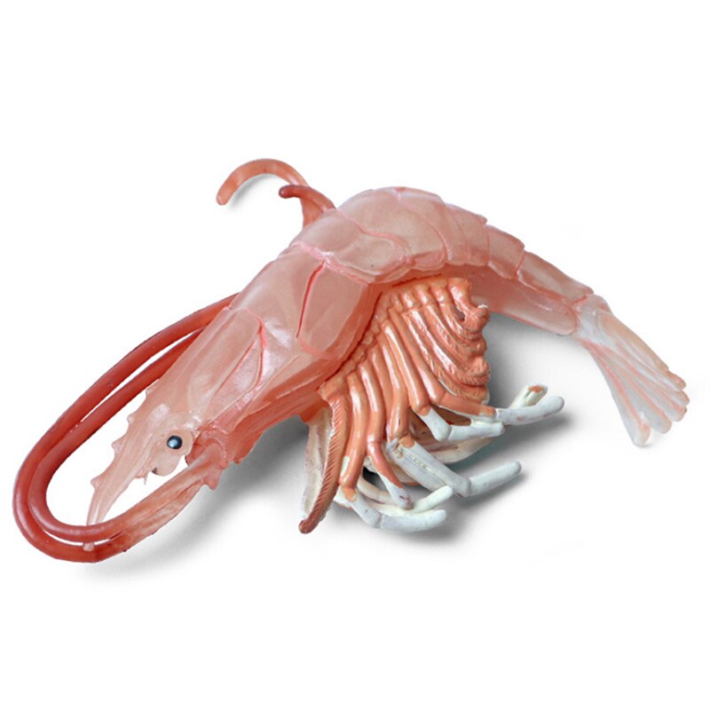 Bebé juguetes de biología langosta la vida marina modelo Animal figura de juguete de plástico de simulación de juguete con forma de gamba para niño: red lobster