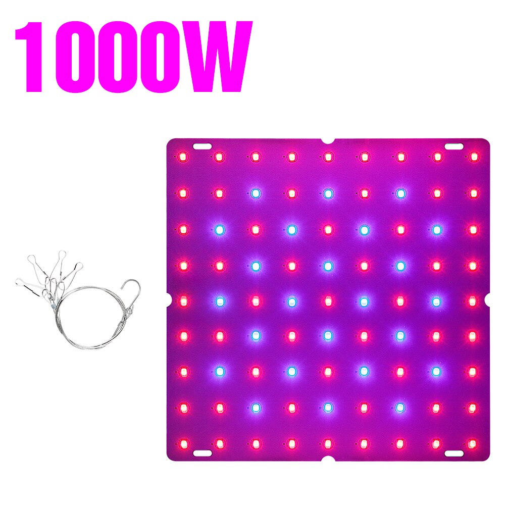 Lampe horticole de croissance LED, 220V, 1000W, spectre complet, panneau quantique pour semis, tente de culture hydroponique, 1500W: 1000W-81leds / EU plug