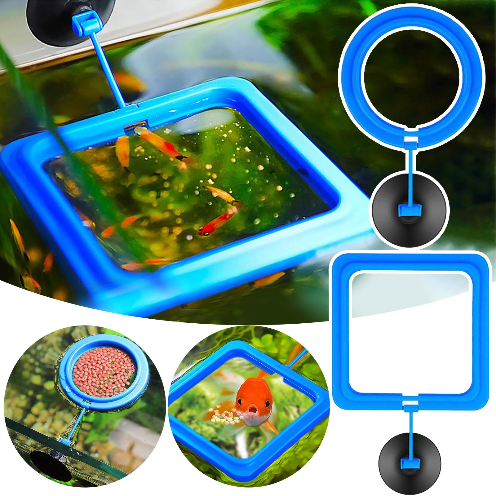 Aquarium Zuignap Feeder Aquarium Ring Feeder Aquarium Station Drijvende Voedsel Lade Feeder Aquarium Accessoire Aquarium