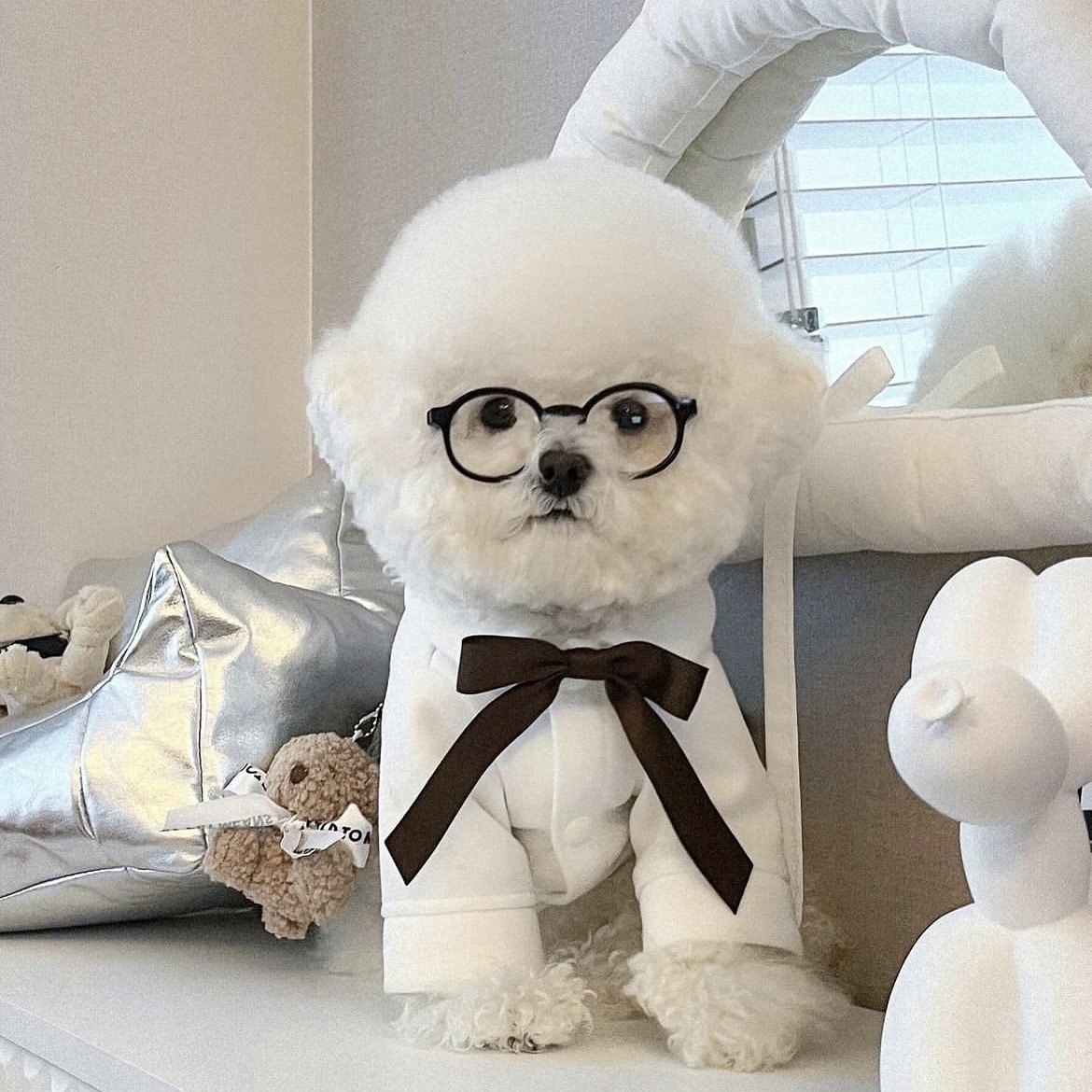 Nuevas gafas de sol Instagram para perros y gatos, gafas bonitas para perros, accesorios de decoración para mascotas de Halloween, accesorios para mascotas