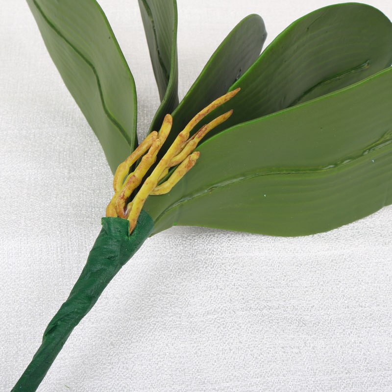 1Pcs real touch phalaenopsis leaf artificial plant leaf decorative flowers auxiliary material flower decoration Orchid leaves