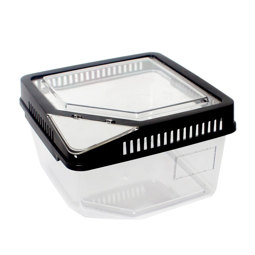 Sturdy Plastic Reptile Lizard Spider Beetle Scorpion Insect Vivarium Terrarium Rearing Box Breeding Case Container