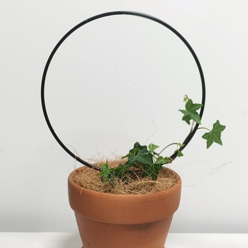 Planteunderstøttelse have espalier klatrestav cirkel rund form stativ vinstokstativ til mini indendørs planter blomster grøntsager