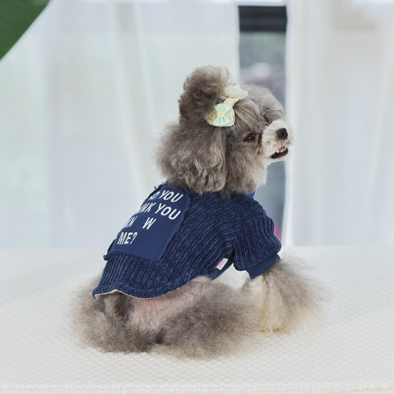 Pet Hooded Trui Hond Jas Herfst Winter Eenvoudige Britse Stijl Warme Katoen Dikke Chihuahua Puppy Kostuum Blauw Grijs Huisdier Kleding