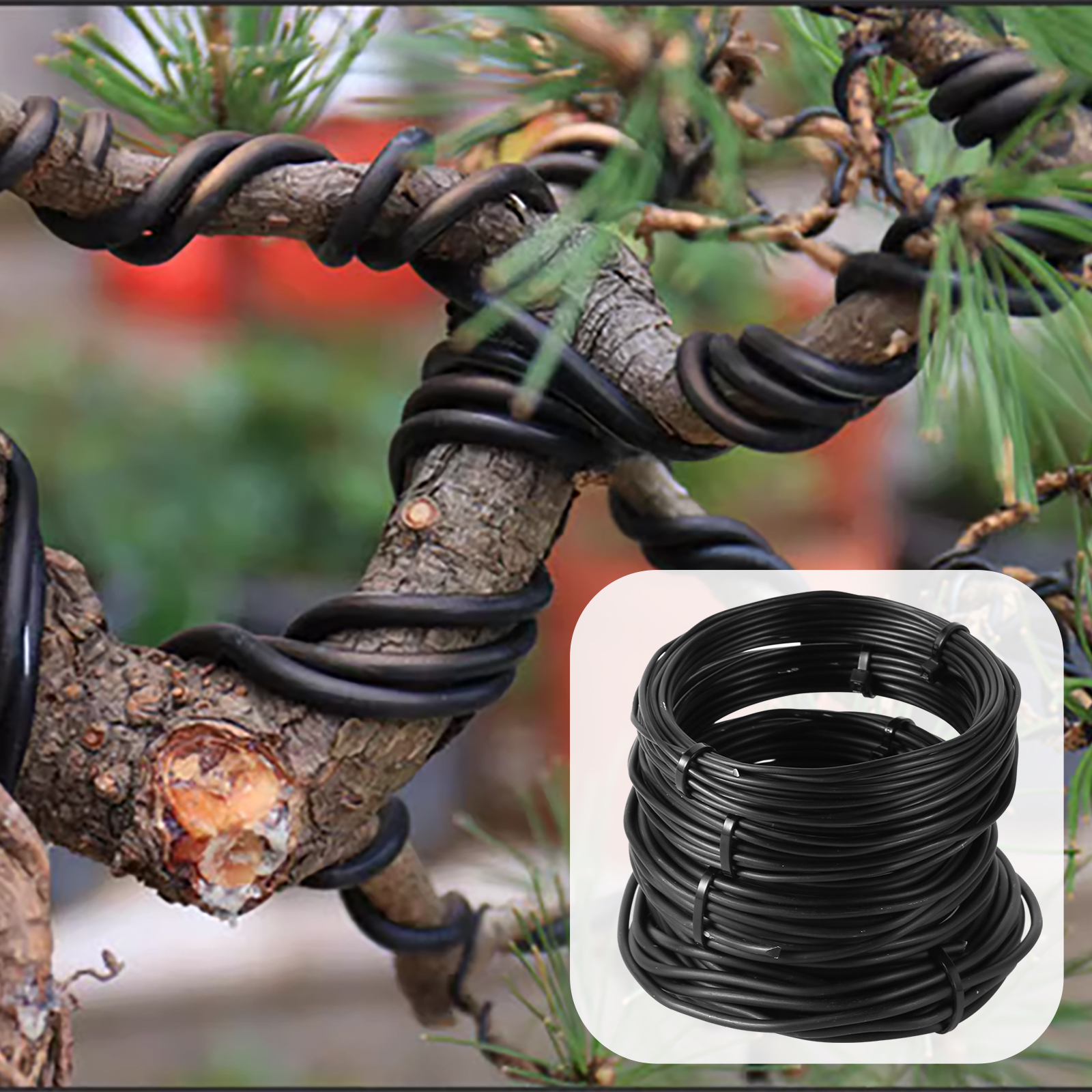 Alambre para bonsái negro de 3m/5m/10m, lazos de entrenamiento para bonsái de aluminio anodizado, soporte para plantas, ramas, cuerdas de fijación curvadas, accesorios de jardín