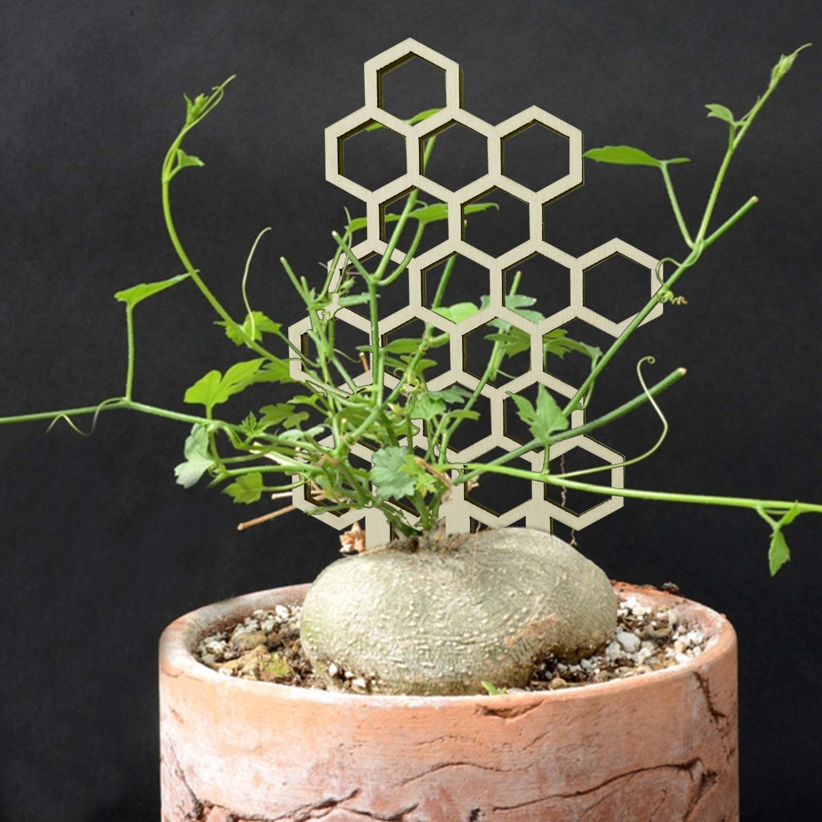 Potted Climbing Frame Wooden Honeycomb Leaves Shaped Plant Support Frame Climbing Flower Fixed Vines Plant Growth