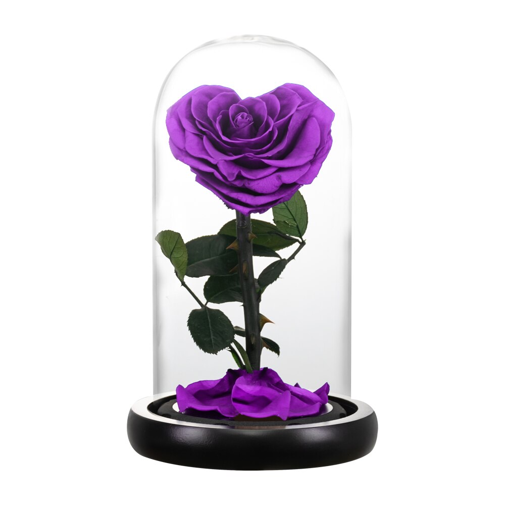 AINYROSE Heart Shaped Preserved Rose Beauty and The Beast Eternal Rose Wedding Artificial Flowers Valentine Christmas: Purple Rose Dome