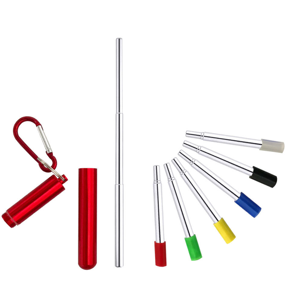 Telescopische Herbruikbare Rietjes Reinigingsborstel Metalen Stro Party Tool Draagbare Rvs Rietje Met Travel Case