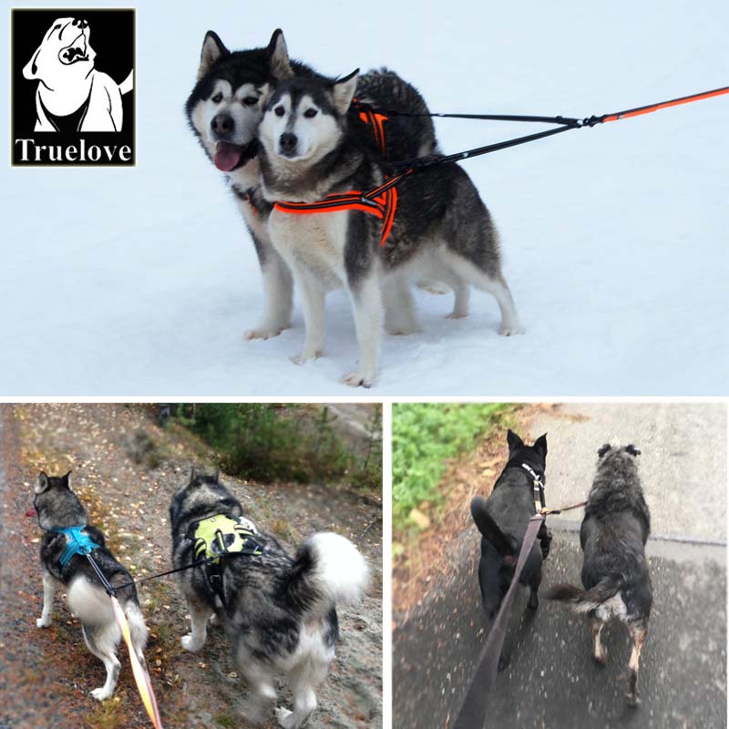 Truelove Reflecterende Verstelbare Dubbele Hondenriem Voor Twee Honden Wirwar Gratis Dubbele Hond Coupler Voor Wandelen En Training Twee Honden