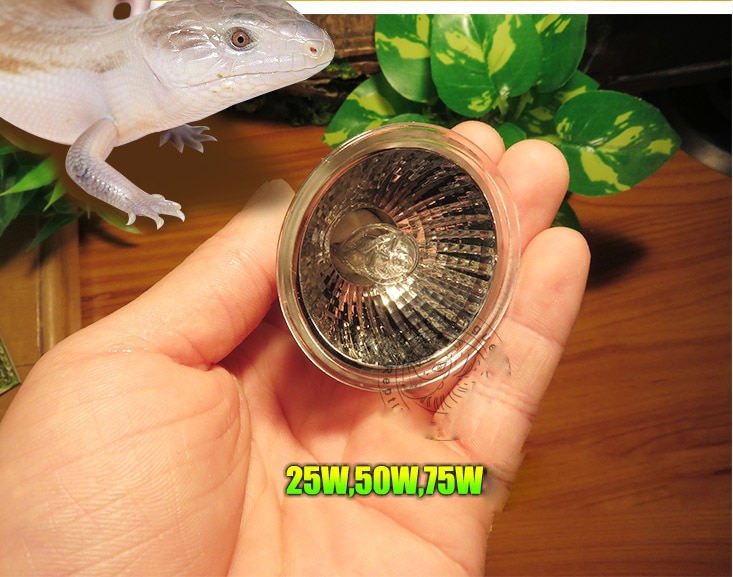 4pack UVA UVB UV terrarium Reptile Halogeen Volle... Grandado
