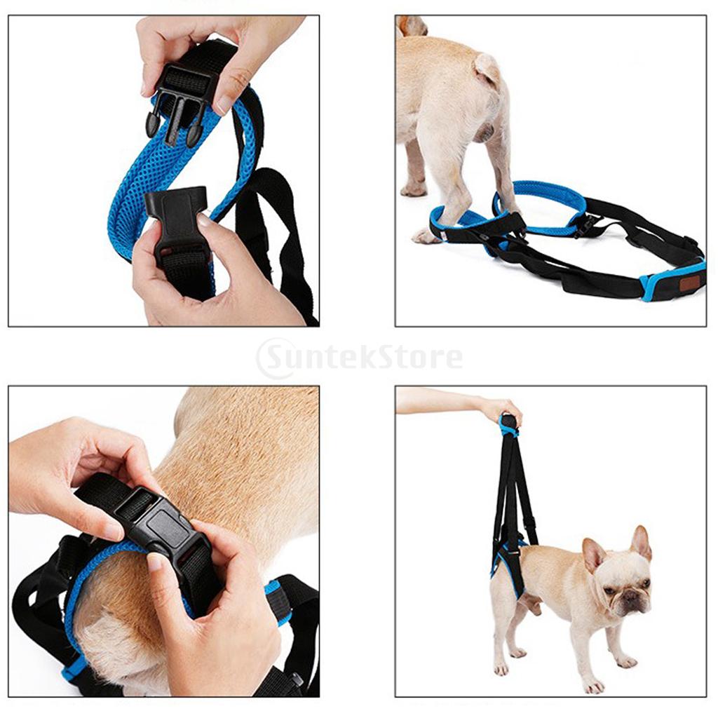 Harnais de levage de ceinture auxiliaire | Pour chien de compagnie, pattes arrière, harnais de soutien à la mobilité avec écharpe d'aide pour chiens blessés âgés