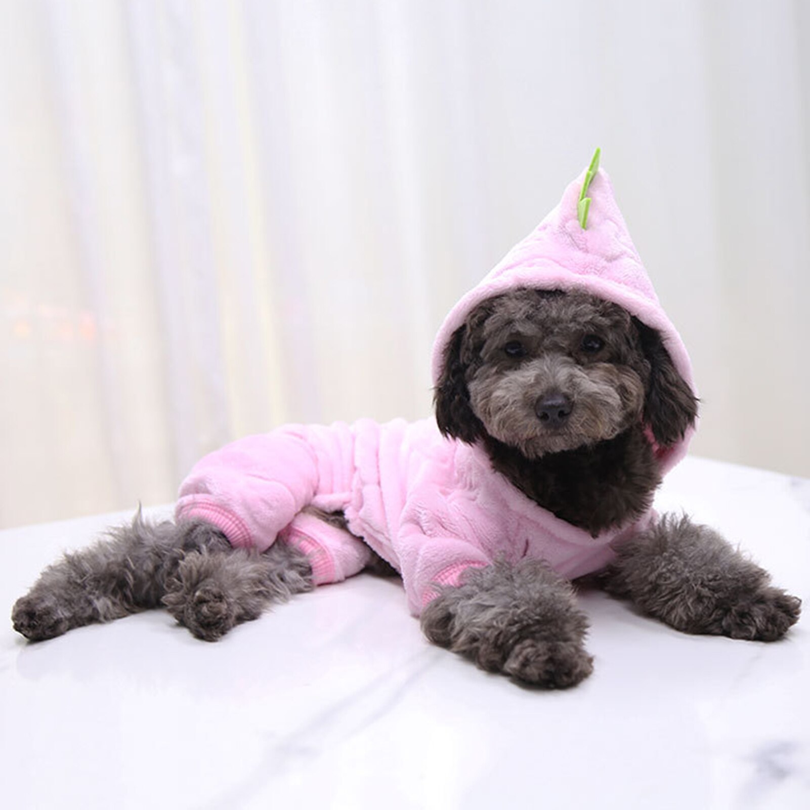 Polaire dinosaure Transformation sweat à capuche chat pour animaux de compagnie à quatre pattes chien vêtements petit chien vêtements pour animaux de compagnie pour grands chiens