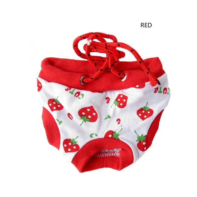 Short de chien Teddy bon marché | Pantalon physiologique, petit chien de compagnie, sous-vêtements féminins, culottes physiologiques, tissu