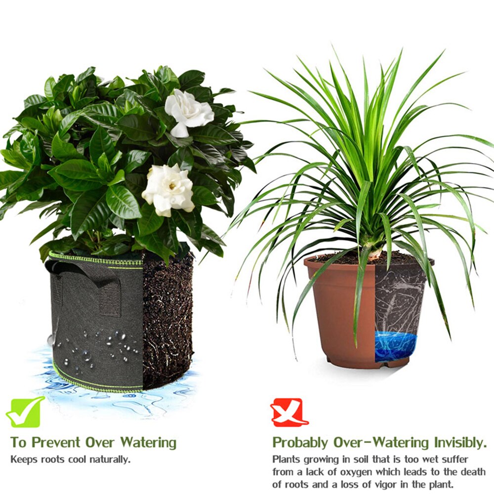 Ikke vevde tre stoff potter vokse bag rot beholder plante pose svart hånd med plante blomster potte fiberduk poser vokser kultur