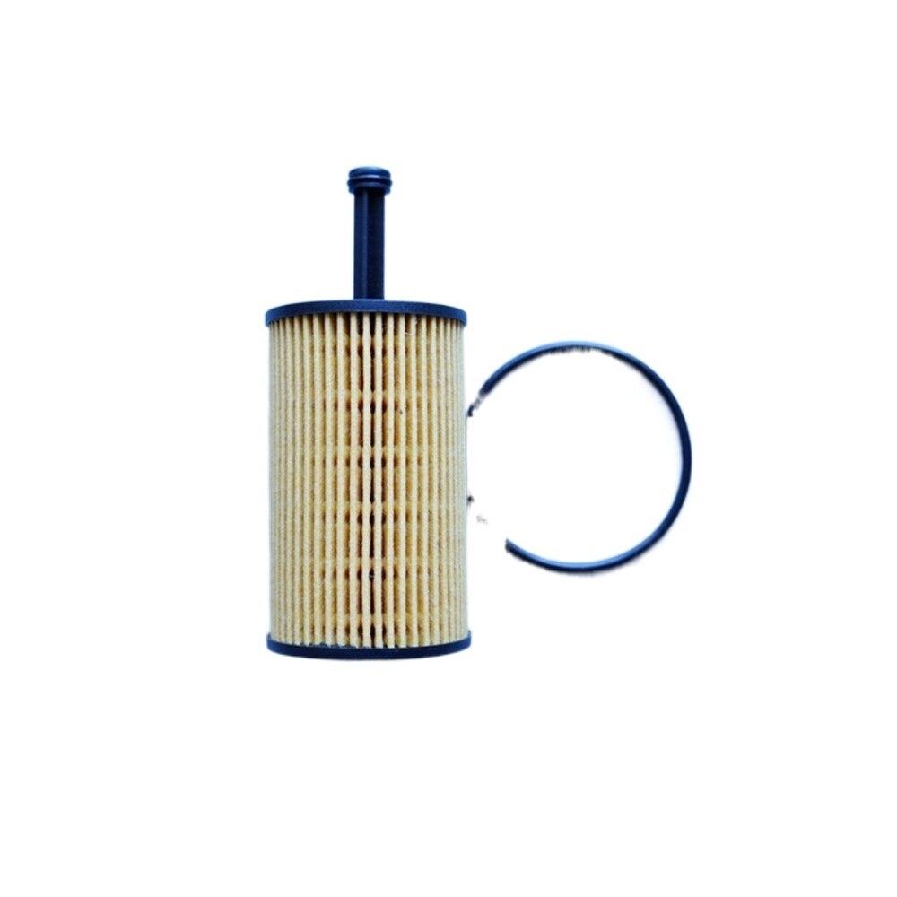 Oil Filter for Peugeot 307 / 206 / 306 / PARTNER .... – Grandado