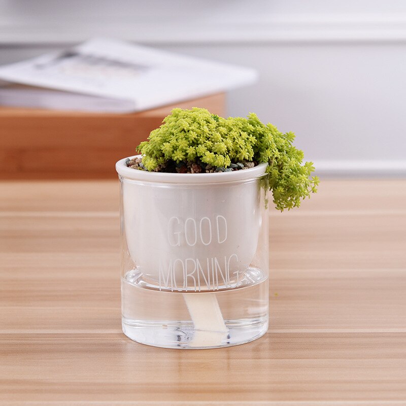 1pc Automatic Watering Planter Pot Ceramic Flowerpot with Glass Water Container for Green Plants Succulent Plant Cactus: WS