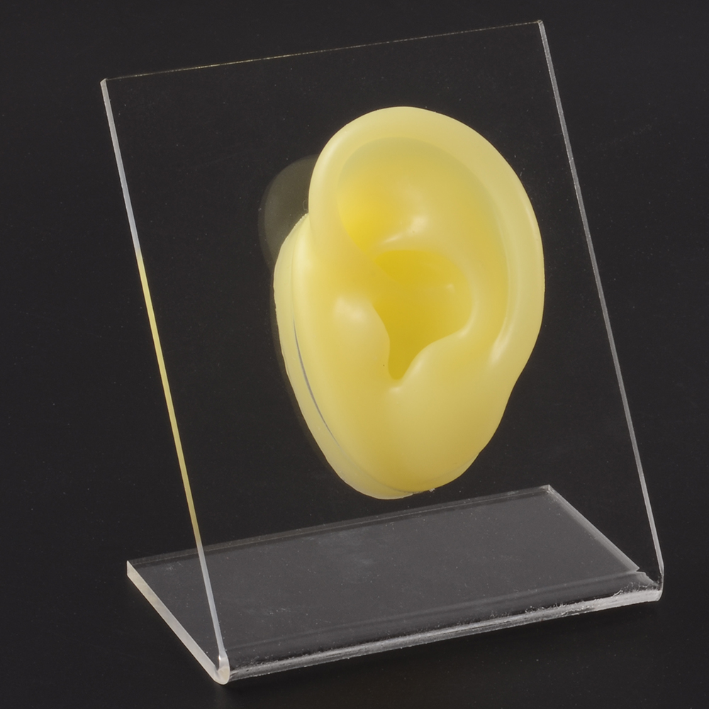 Modello di naso dell&#39;orecchio in Silicone con bordo trasparente pratica professionale piercing strumenti orecchini orecchini a bottone Display può essere riutilizzato gioielli: Yellow Left